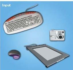 computer Keyboard Mouse/ pointing