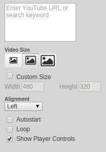 2. Choose from three predefined video sizes - Small, Medium and Large. 3. If you don't want to use the default video size, you can set custom dimensions.