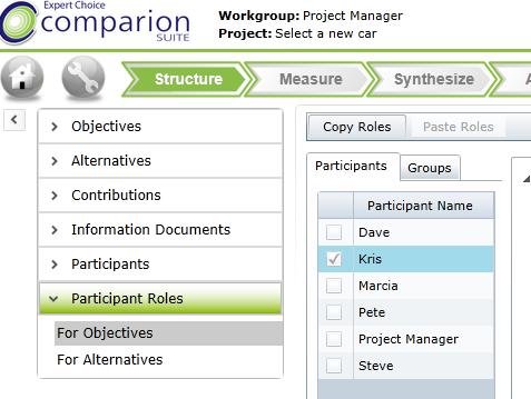 VI. Participant Roles Roles can be assigned to groups (custom groups or a pre-defined group called 'All Participants') as well as to individual participants.