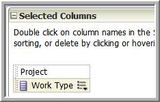 Double-click the Work Type column to add it to your analysis criteria, which appears in the right pane.