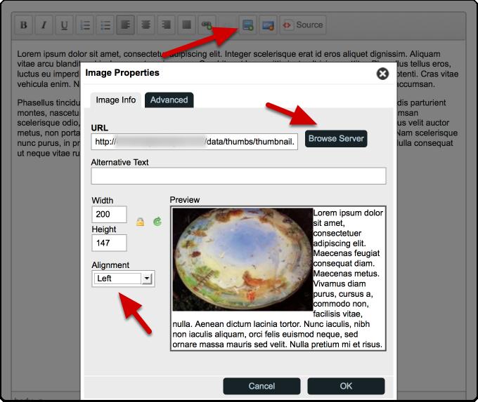 Add an image - 1 Once you have uploaded an image you can add it to a page. Edit a page and click within the text where you want the image to be inserted. Then click the 'image' button on the toolbar.