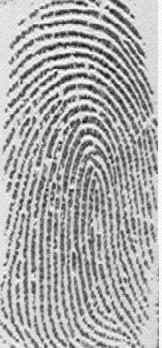 fingerprint image image histogram Otsu T = 158