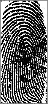 histogram. Fingerprint lines are well-separated.