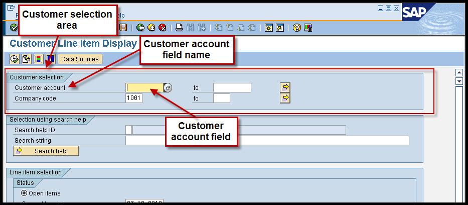 SAP Basic - Section 3: Data Fields Demonstration Demonstration: Introduction to fields Most SAP screens consist of areas and fields. An area has a name and contains a number of fields.