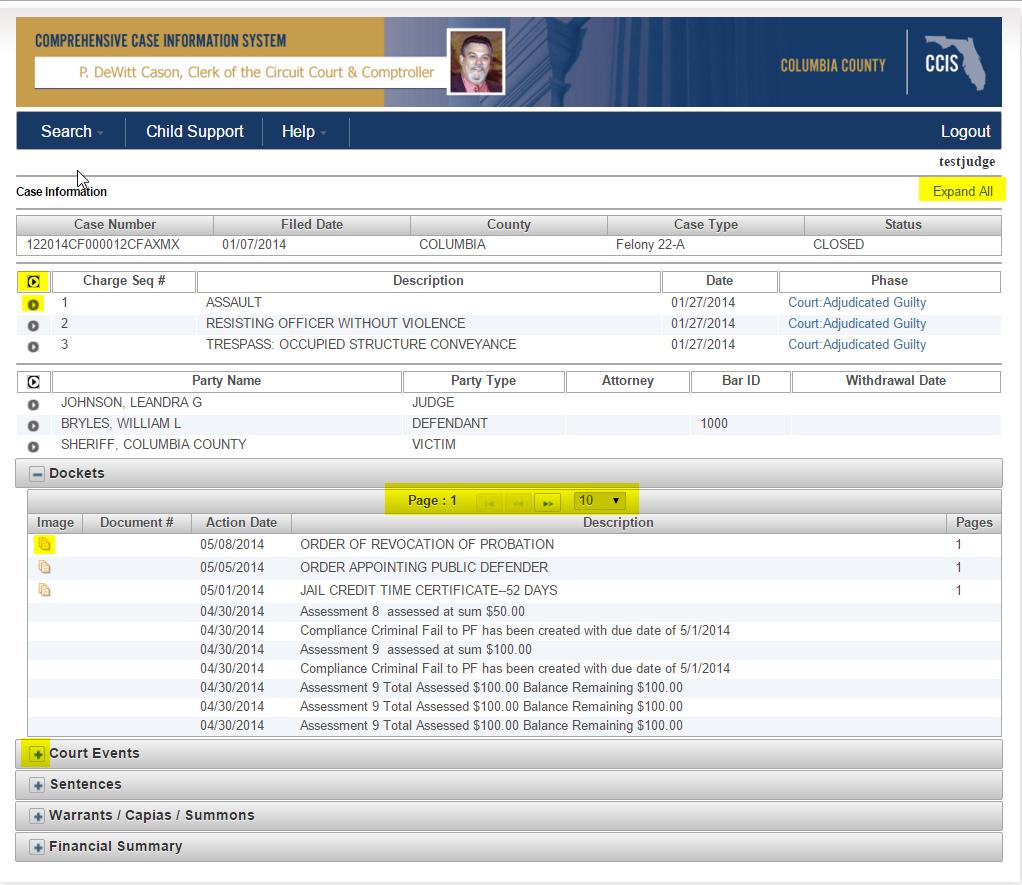 Gender Race Case Information Case, Party, Charge (for criminal cases) and the 10 most recent Progress Docket entries are displayed.