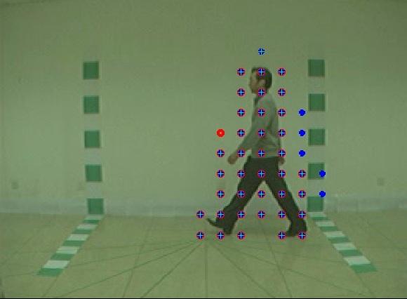 Representation of the Temporal MIP local features on walking people from the CASIA datasets.