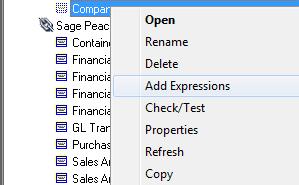 Sage 300 ERP Intelligence Connector Module Lesson 6 Data Expressions Adding a Data