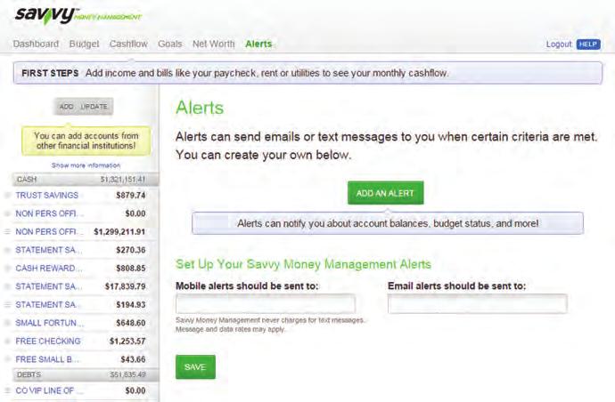 Savvy Money Management Alerts: You can create customized notifications under