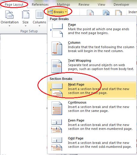 SECTION 7: MS WORD SECTIONS 7.1. ADDING MS WORD SECTIONS. To add more MS Word sections for new issuance sections or appendices, go to Page Layout Breaks Section Breaks Next Page.