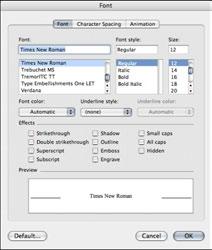3 You should receive the FONT dialogue box which allows you to change type styles, sizes, text colour, etc.