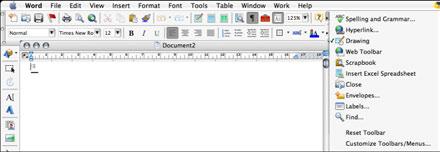 The s Any text that is entered into Microsoft Word can have its appearance adjusted using the options in the FORMAT menu or by using the shortcut buttons in the s at the top of the screen.