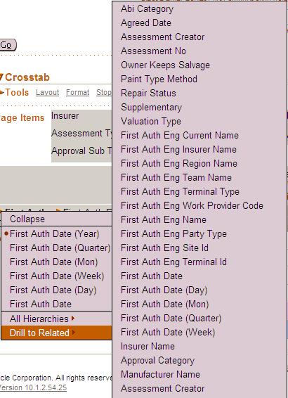 8.3 Page Items Whilst changing the parameters obtains different data, page items obtain that data from selected areas of the data warehouse.
