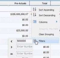 To filter information using a numeric column: Click the arrow beside the column name and choose Filters.
