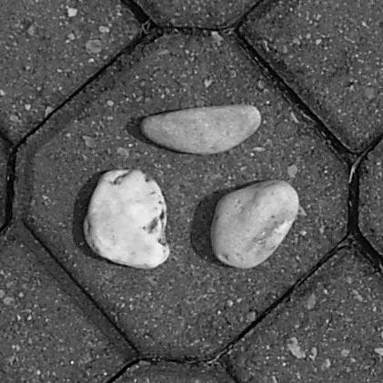 3 4 Figure 5: Stones on pavement. Greyscale image with segmentations superimposed.