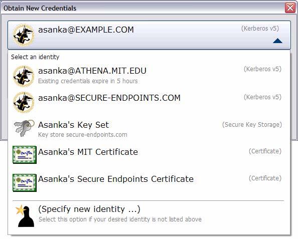 Figure 2 : Credentials Options page (Basic Mode) with identity menu Selecting any other identity will result in that identity becoming the active identity.