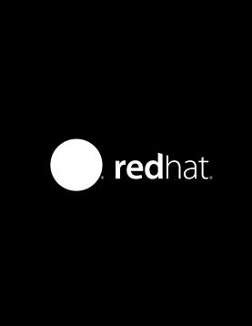 SOLUTION ARCHITECT, RED