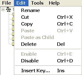 Edit Menu Options Select a key and right-click or click Edit to see the available options. The same options appear on both menus.