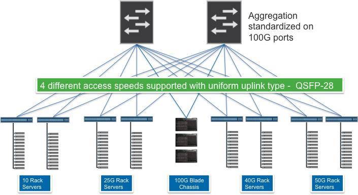 encapsulation to L2/L3 VPNs at aggregation layer 100G Uplinks