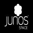 What is Junos Fusion?