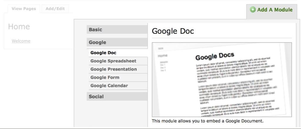 o Google: The Google modules allow you to embed your Google applications (documents, spreadsheets, presentations, forms, and calendars) into your eportfolio.