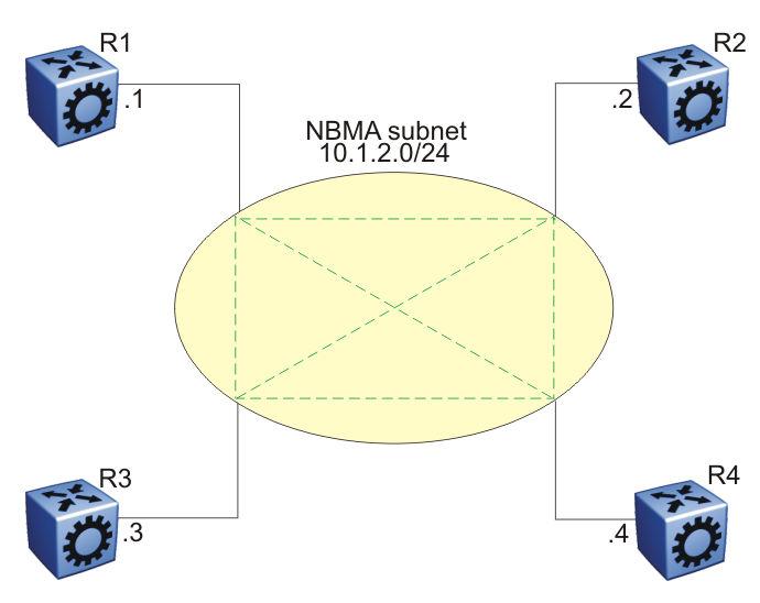 OSPF The following figure shows an example of four routers attached to an NBMA subnet. The NBMA segment uses a single IP subnet and each router uses an IP address within the subnet.