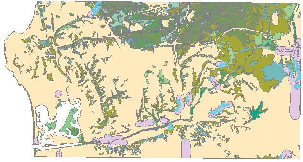 9. Examine the selection in the ArcMap display. All areas near proposed roads where the vegetation is San Diego coastal sage scrub are identified. This brings you to the end of Exercise 1.