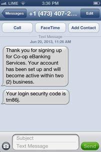 First Time Log In On signing up for Co-op Bank s ebanking Service, you will be provided with a User ID and temporary Password.
