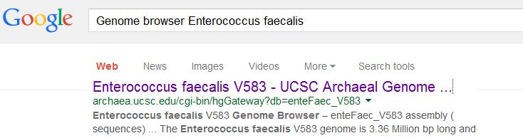 well as associated information for Enterococcus faecalis using a genome browser. Therefore, you search Enterococcus faecalis genome browser on Google.