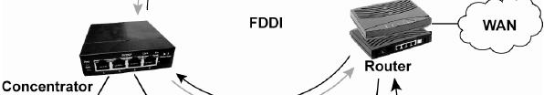 Fiber Distributed Data Interface (FDDI) is an example