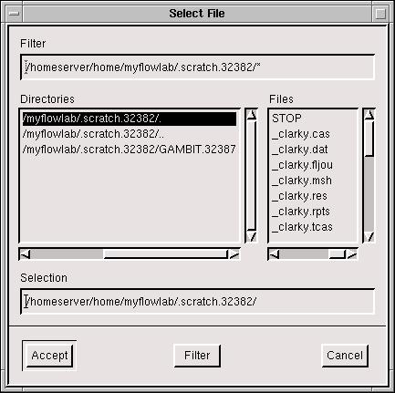 User Interface that constitute a valid file name in the operating system under which FlowLab is running.