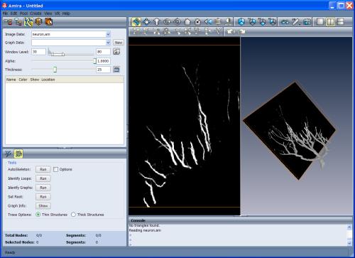 Introduction to the Filament Editor Figure 2.33: The Filament Editor immediately after the image data has been loaded.