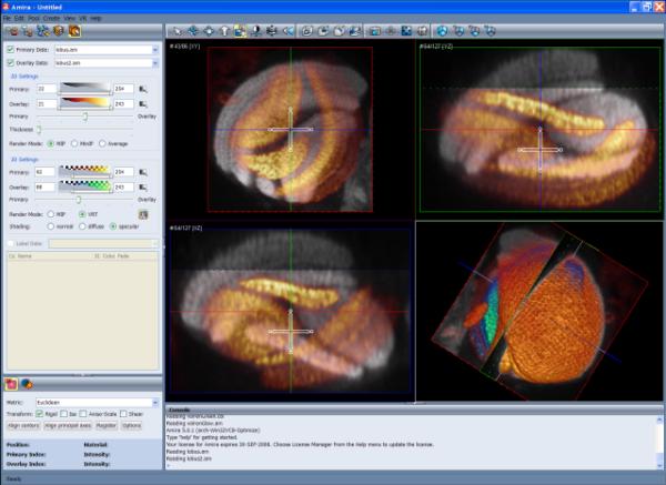 Chapter 2: First steps in Amira Figure 2.37: The Multi-planar Viewer with the Manual Registration tool activated. 2.15.