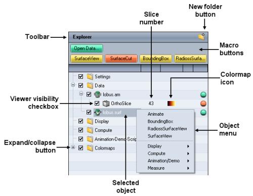 Interface Components Figure 3.4: The Explorer contains data objects and module icons in a tree view.