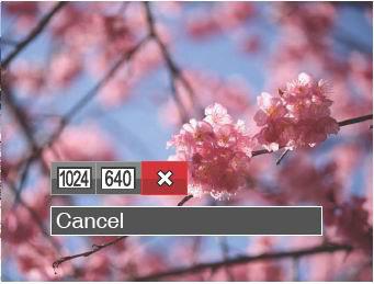 Resize This setting allows you to resize a picture to a particular resolution and saves it as a new picture. 1. In Playback Mode, press the left /right arrow buttons to select the photos to be edited.