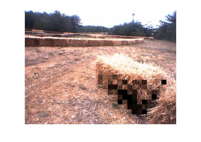 Figure 9. Labeling of the image after 10 frames using 3 examples for training. Figure 11. 10 frames from the creation of the initial models. Notice the labeled hay bales in the far-view.