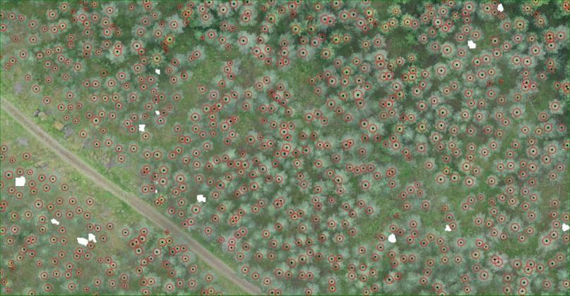 Forest variables from UAV data Combination of