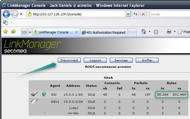 Locate the browser window with the LinkManager.