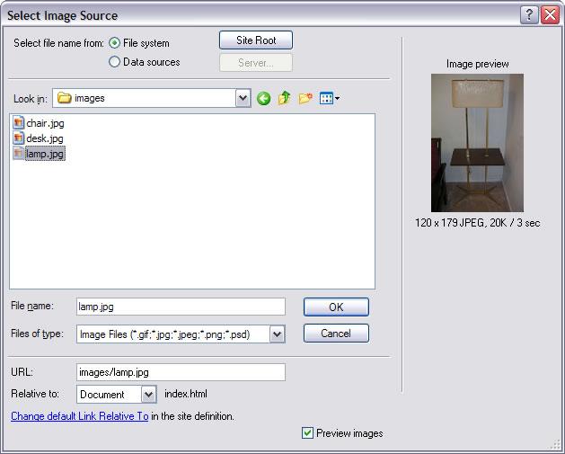 Activity 2.1 guide Adding images You can insert any image into a web page, as long as it is accessible to Dreamweaver and in a web format. Most images in web pages are either GIFs or JPEGs.