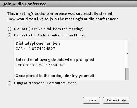 Alternately, users can join the audio conference manually by selecting the second option Dial-into the audio conference via phone. The audio conference information is displayed.