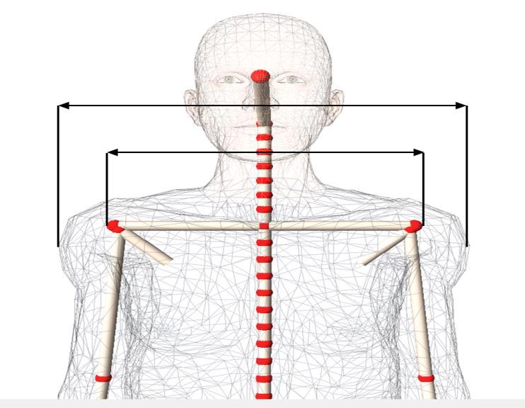 a) b) Figure 17: The anthropometric dimensions are measured at the exterior of the human body a), and the dimensions need to be adapted to the kinematical skeleton b). 3.