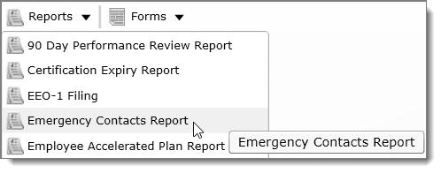 32 Dayforce HCM Creating Reports using Report Designer Part 1 In the features that display the Reports dropdown, click the Reports list and select the report you want to run.