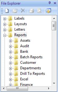 Report Designer File Explorer To display this pane, choose View > File Explorer.