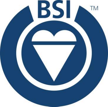 8 BSI Assessment and Certification A Global Market Leader Leading global certification body with over 69,000 certified locations and clients in over 140 countries A leader in the training, assessment