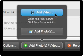 The Add Video dialog will then open: