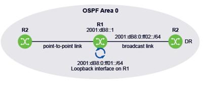 1.11 Global IPv6 addresses have been assigned to all system, loopback, and broadcast interfaces but not to the point-to-point interfaces. Router R2 is the DR for the broadcast link.