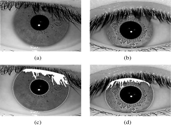 eyelashes. 1D algorithm is complicated to describe the directional filter information of iris texture. So 2D filter is better and more effective to avoid too much iris texture misclassification.