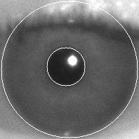 Problem statement Conventional eyelid detection approach: Eyelid noise removal Iris image quality estimation Image Acquisition Eye Region Detection Pupil-iris Boundary Localization Iris-Sclera