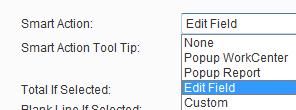 4. Click the Edit Button directly below the Display Fields List: 5. The Report Field Options Dialog will display.