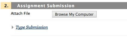 Blackboard provides two ways for you to give your instructor materials: attach a file or type in a submission box.