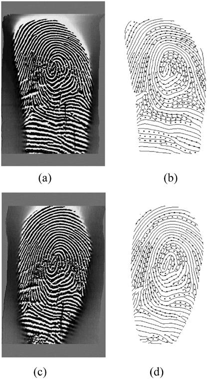 (c) 109_4.tif. (d) Enhanced image of 109_4. The similarity of these two fingerprints is 0.650 000. on FVC2004 DB3 is shown in Fig. 16.